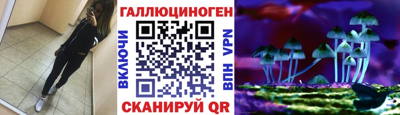 shop телеграм  дарнет шоп  Ермолино  Галлюциногенные грибы Cubensis 